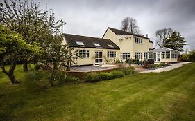 The Willows